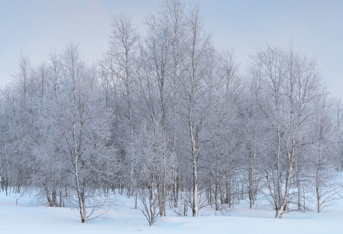 14-landscape-photography-hautes-fagnes-ardennes-belgium